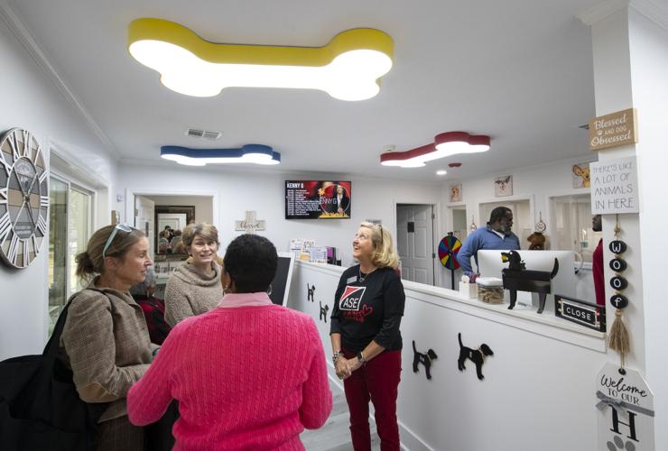 PHOTOS: Dogs now learning at Fur Baby Univeristy
