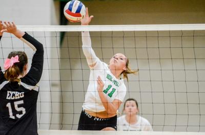 Bulldogs break away from losing reputation in milestone year