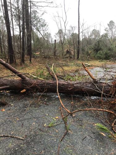 PHOTOS: Damage from tornado-warned storm across Tallapoosa County