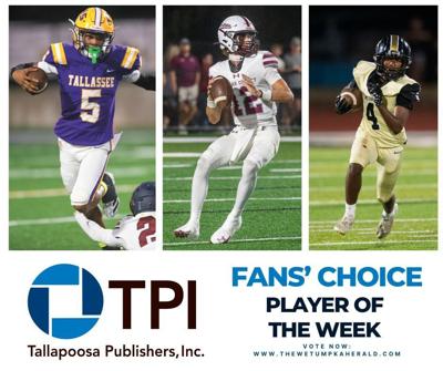 fan choice - 1