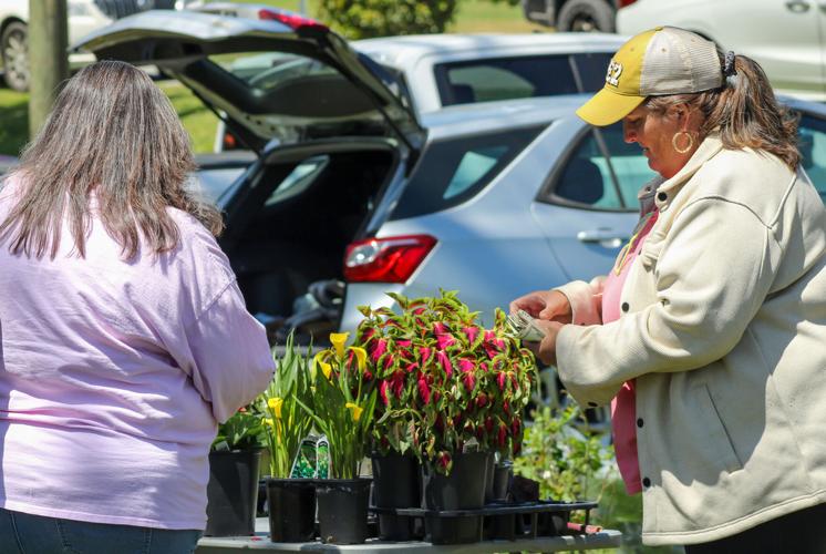 PHOTOS: Plants in the Park