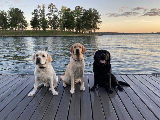 August 2021 Lake Scenes
