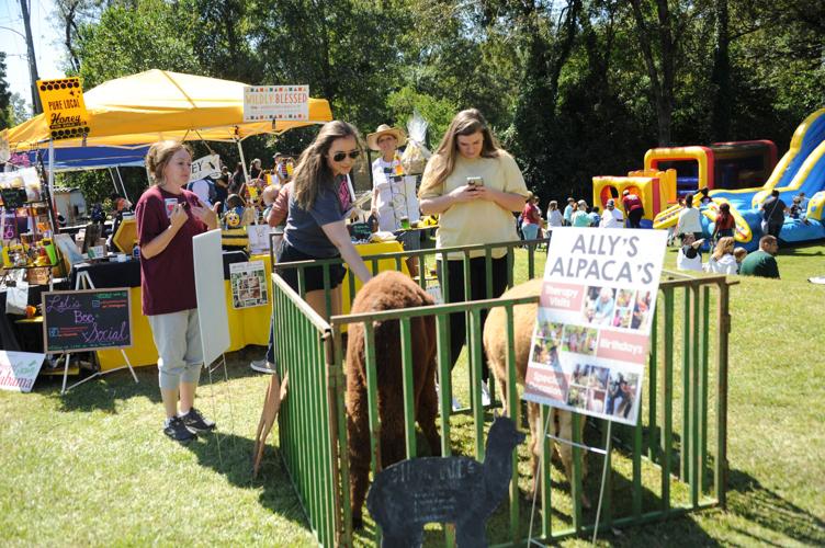 PHOTOS: Dadeville's Annual Fall Festival sees large turnout at new location