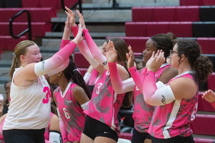 online 10925 Pink Out SEHS 1.jpg