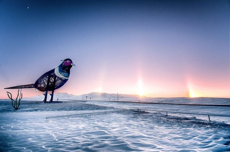 A winter parhelia, also known as sun dogs, along the Enchanted Highway in North Dakota. The state is a year-round destination for sought-after natural phenomena. Credit North Dakota Tourism and Dustin White.