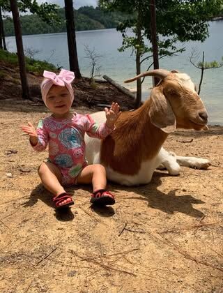 Goat Island 1.jpg
