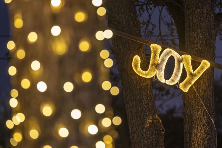 Christmas at Pennington Park