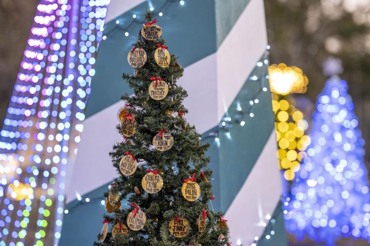 Christmas at Pennington Park