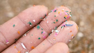 What are the effects of microplastics on bladder health?