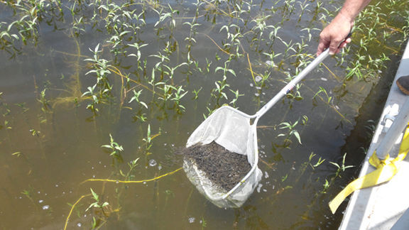 Lake Jordan stocked for change