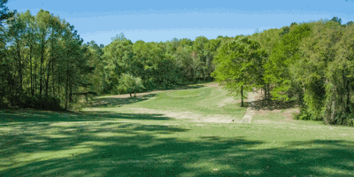 Playing in the Pines