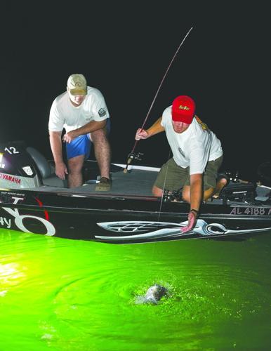 Summer Nights at Lake Martin