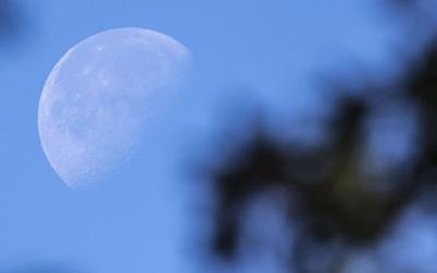 How much does the moon really matter in fishing?