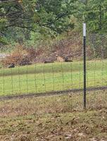 County, Dadeville working on animal control issues