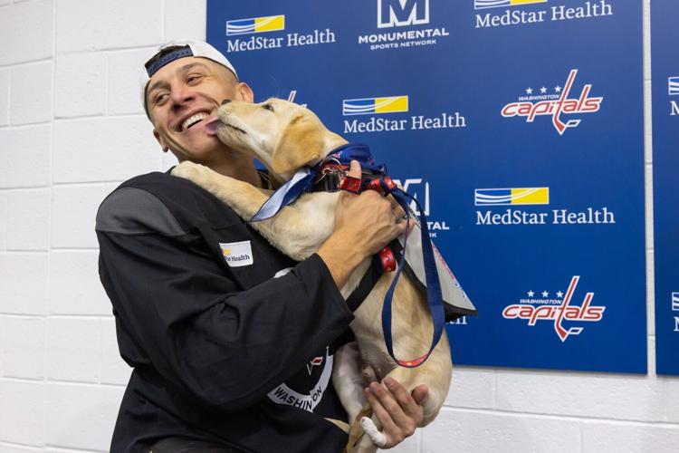 Martin Fehérváry, the Washington Capitals' current leading shot blocker, spent time with Bravo, a future service dog being trained by America's VetDogs.