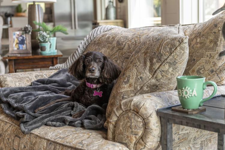 Fall in love with the lake