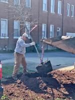 Beautification board gives Dadeville the royal TREEtment