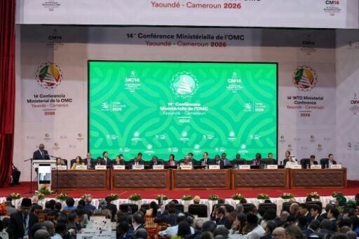 The WTO's 14th ministerial conference is being held in Yaounde