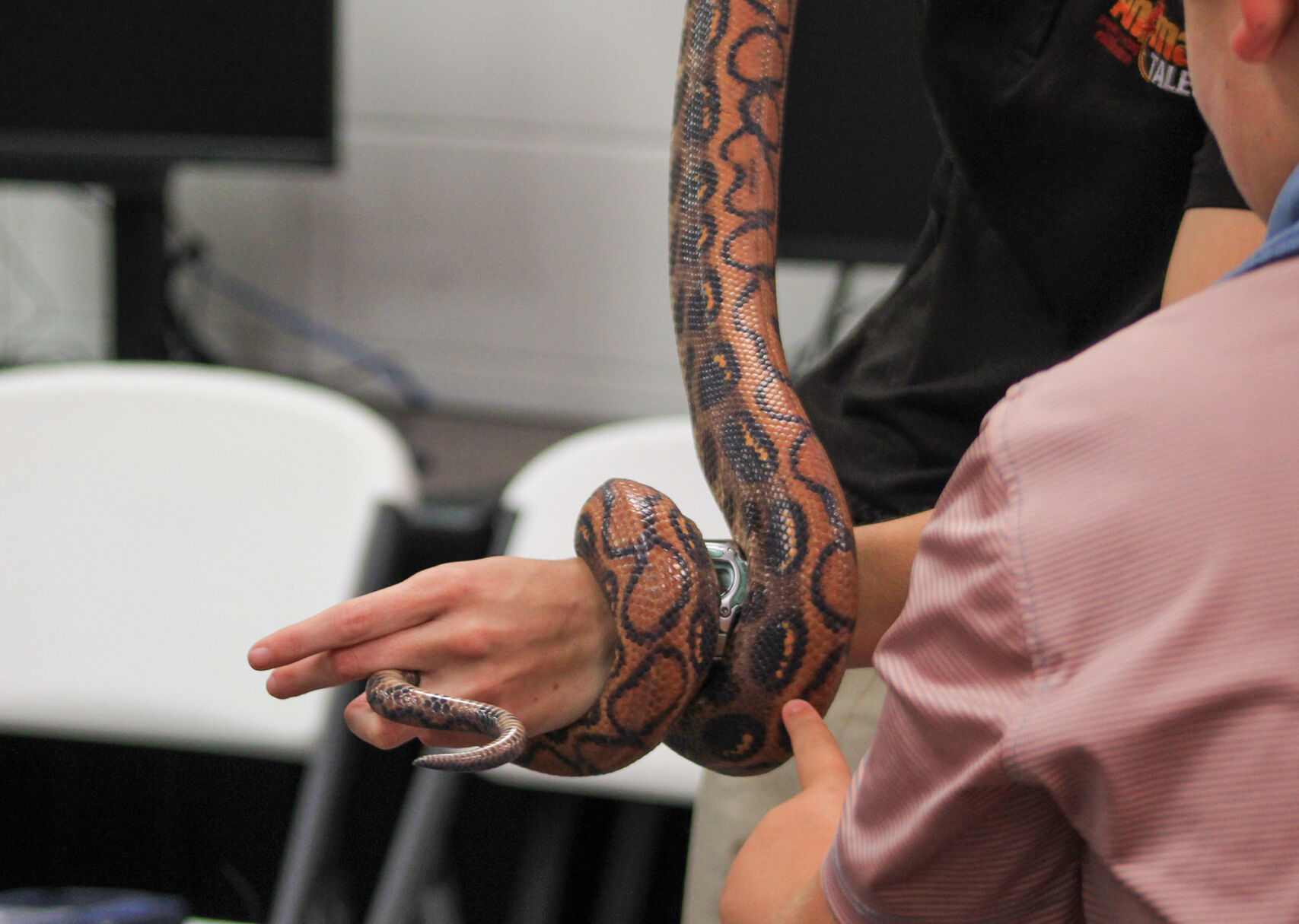 PHOTOS: Animal Tales comes to Dadeville's library