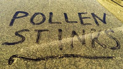 Tree pollen causing sneezing, watery eyes