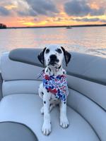 Lake Scenes January 2025