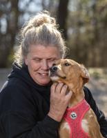 For the LOVE of Dogs