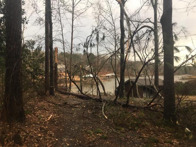 PHOTOS: Damage from tornado-warned storm across Tallapoosa County
