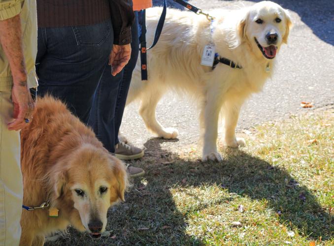 PHOTOS 10th annual Dadeville Fall Festival