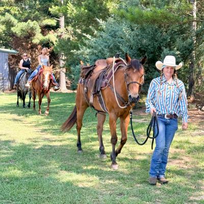 072926 Horses Waverly.jpg
