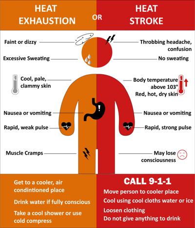 Stay safe in the heat