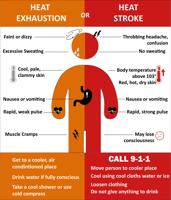 Stay safe in the heat