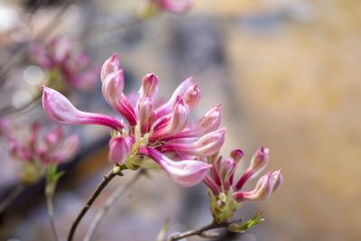 Outlook’s own Audra Spears takes 3rd in photo contest