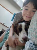 ‘THIS PROPERTY IS JINXED:’ Family searches for missing dog after history of disasters