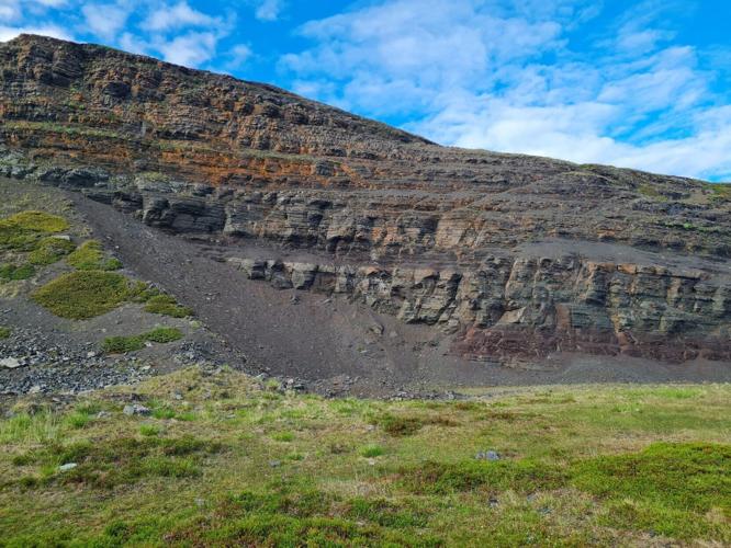 One of oldest 3D animal fossils dating back 560 million years found in sheep field