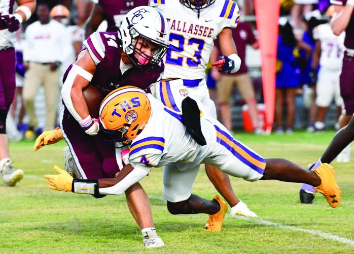 Tallassee Elmore County 02 CMYK copy.jpg