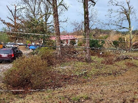 PHOTOS: Damage from tornado-warned storm across Tallapoosa County