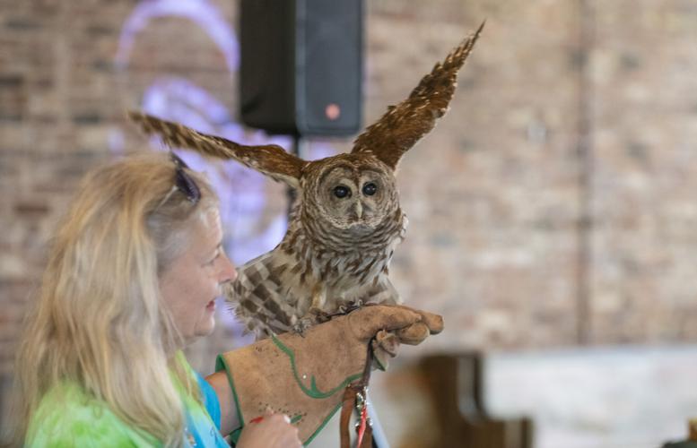 PHOTOS: Eclectic's Raptor Ridge brings raptors to library program