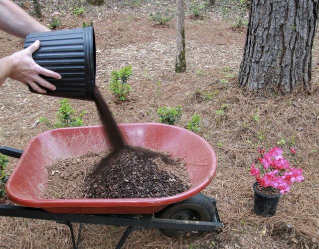 It all starts with the soil