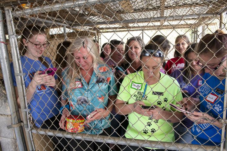 PHOTOS: Jordan's Way helps raise funds for animal shelters