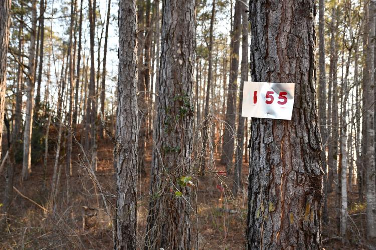 Coosa County Road 29