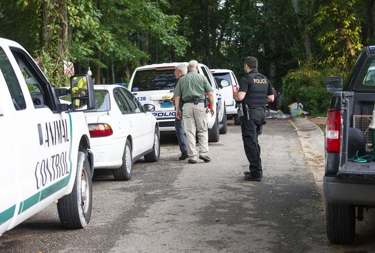 16 cats, 14 dogs, 3 pigs, 1 duck seized in Dadeville animal cruelty case