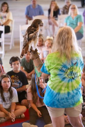 PHOTOS: Eclectic's Raptor Ridge brings raptors to library program