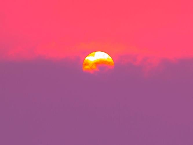 sunlightpurple_featured