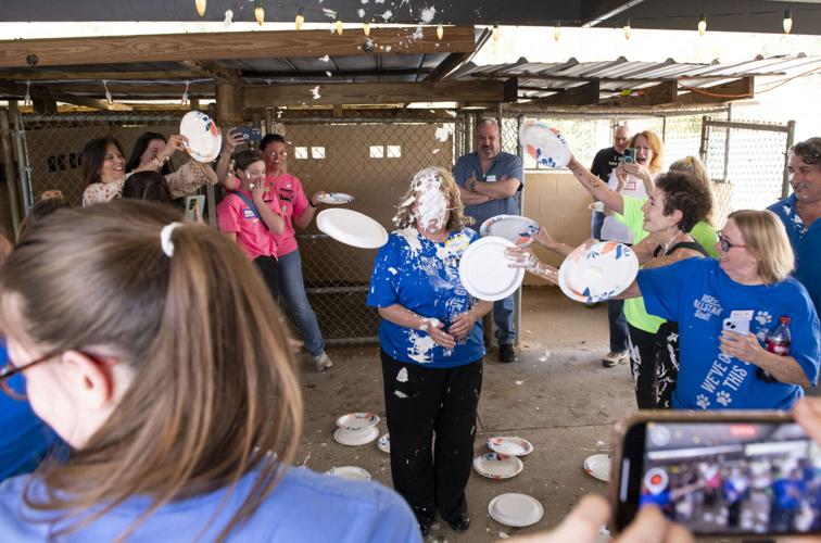 PHOTOS: Jordan's Way helps raise funds for animal shelters