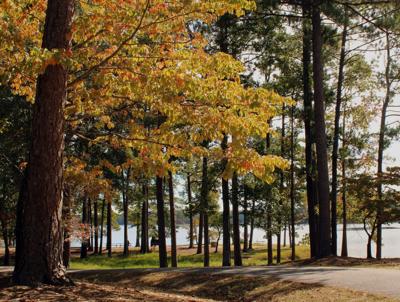 Local state park ushers in fall festivities