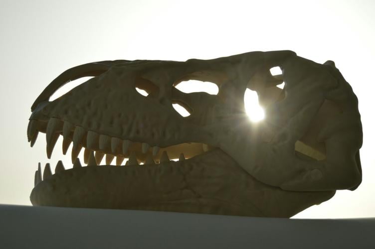 richard-multimedia-_pnVw2-47lM-unsplash