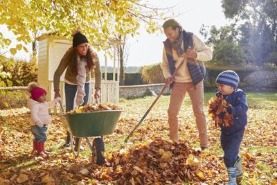 Fall Gardening