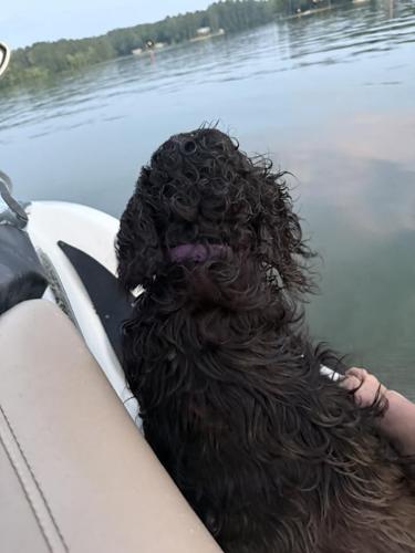 Delta Sea Doo.jpg