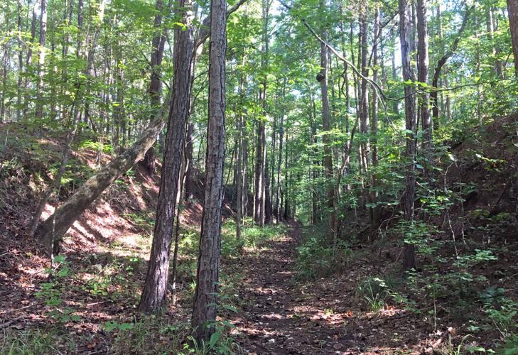 Cherokee Bluffs Dam Railroad Trail