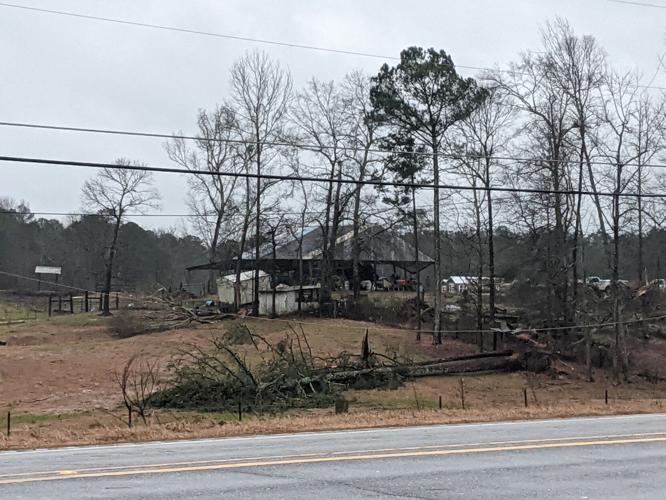 PHOTOS: Damage from tornado-warned storm across Tallapoosa County